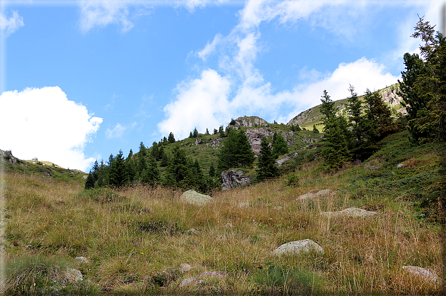 foto Da Forcella Montalon a Val Campelle